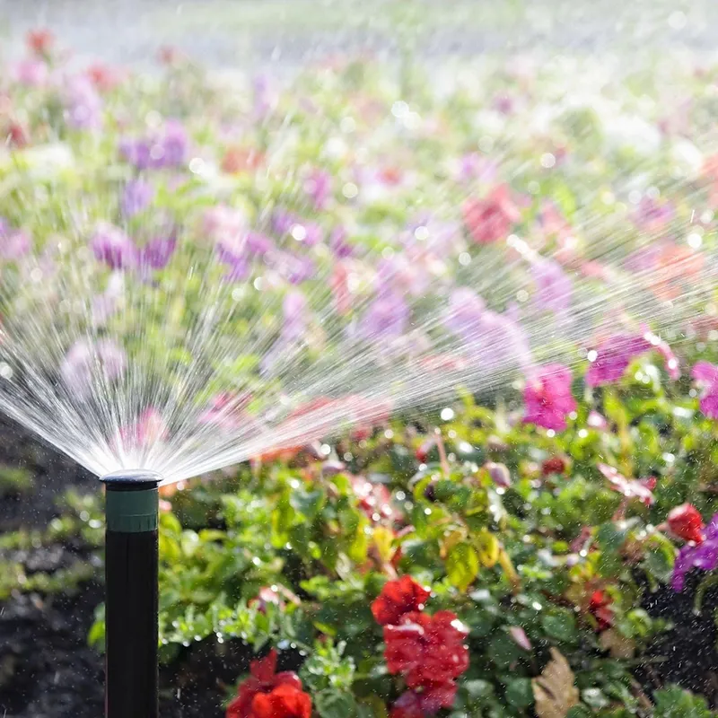 Sprinkler System Water Flowers